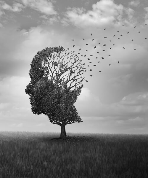 ALZHEIMER…Facts & Myths